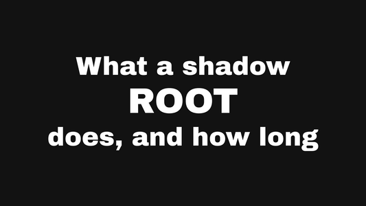What a shadow root does, and how long it holds at Eve Salon, St. Louis MO